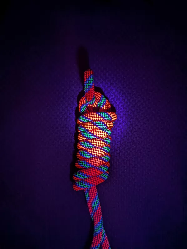 Raspberry Rush - Image 2